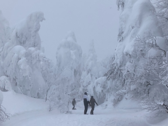 樹氷の中を滑走