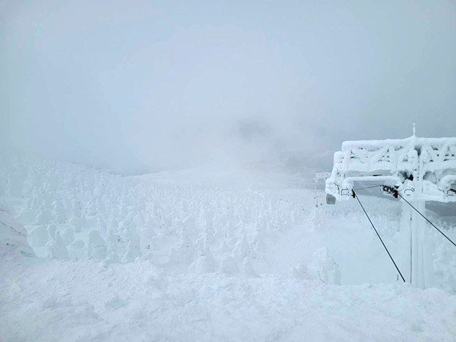 リフトから樹氷を望む